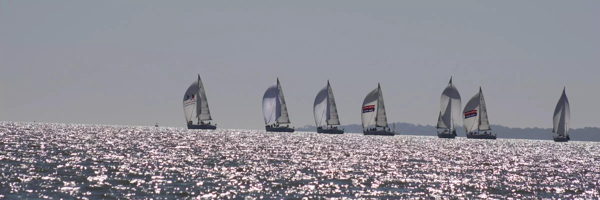 yachts 1